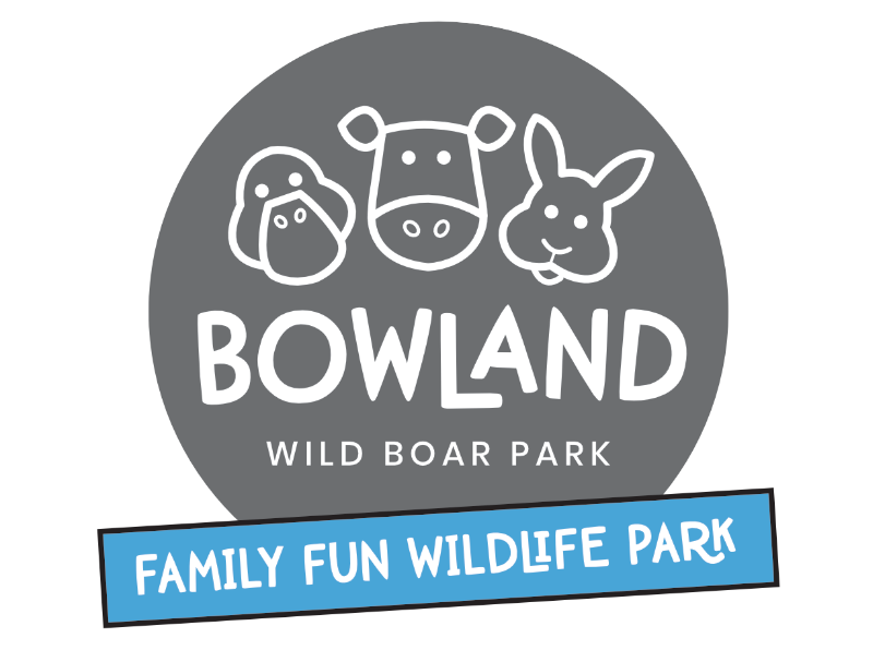 Bowland Wild Boar and Animal Park