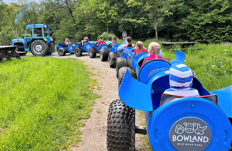 Bowland Wild Boar and Animal Park Bowland Wild Boar and Animal Park