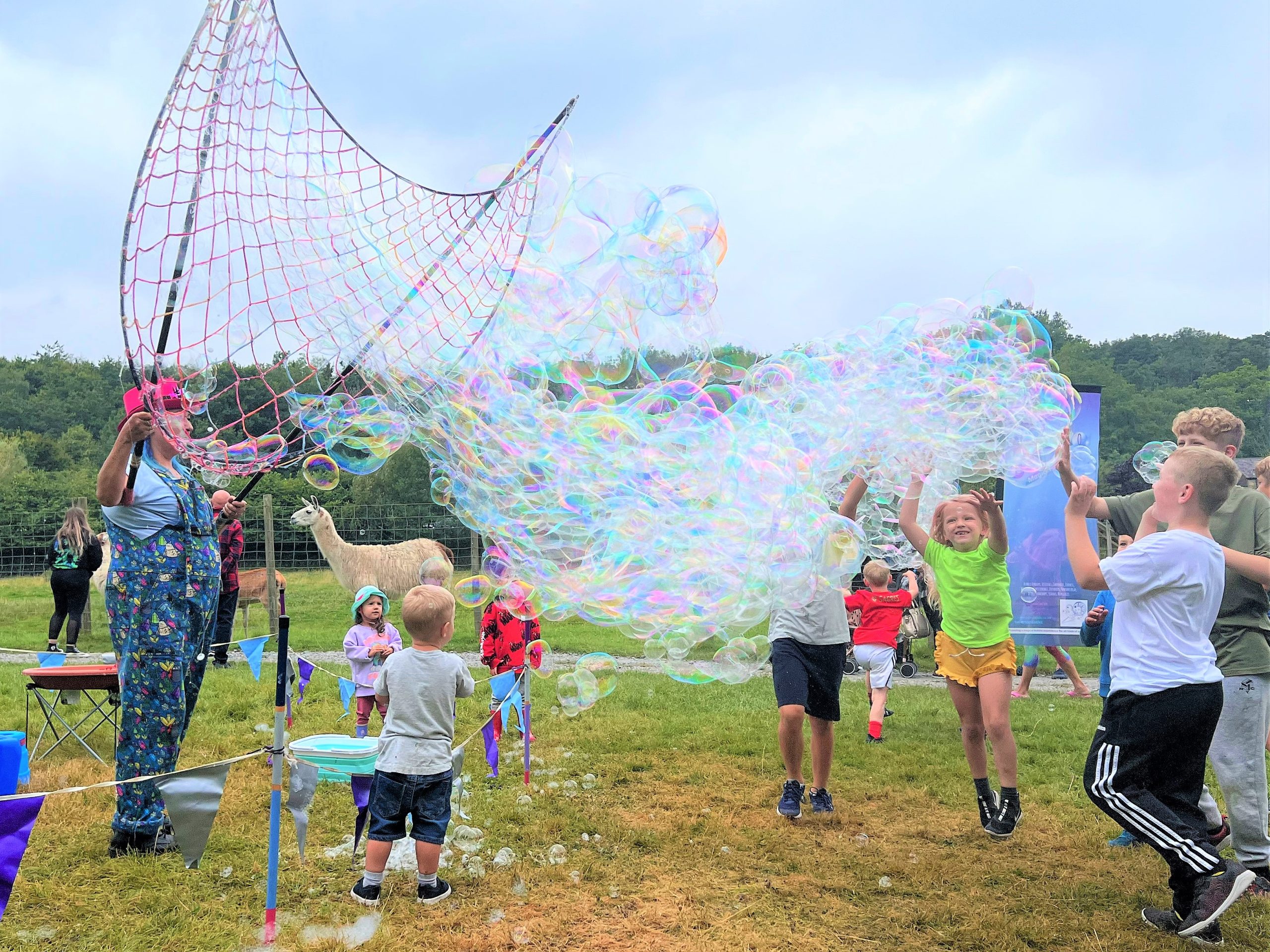 Bublio Magic Bubbles - Bowland Wild Boar Animal Park