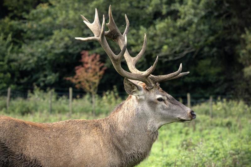 22f65e1fe85df09af5112f61aa6700a1