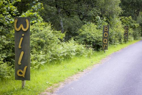 Bowland Wild Boar Park 040617 002 © Nick Dagger Photography
