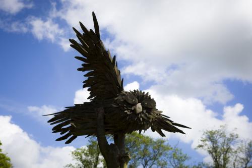 Bowland Wild Boar Park 040617 004 © Nick Dagger Photography