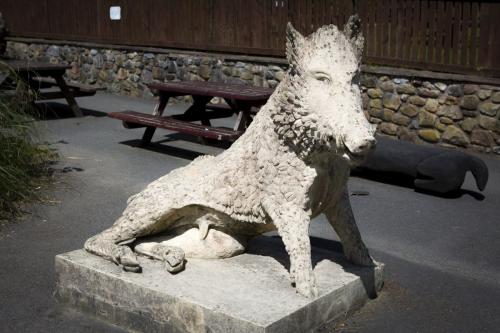 Bowland Wild Boar Park 040617 005 © Nick Dagger Photography