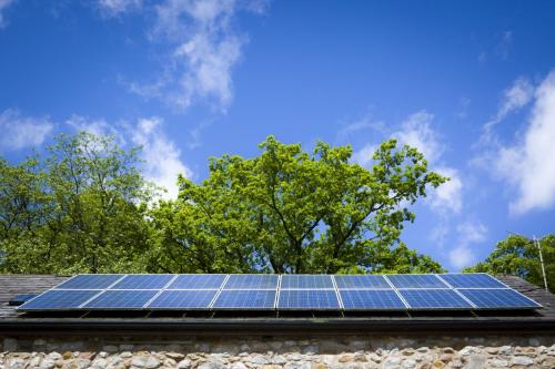 Bowland Wild Boar Park 040617 008 © Nick Dagger Photography