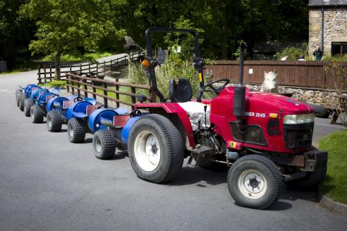 Bowland Wild Boar Park 040617 009 © Nick Dagger Photography