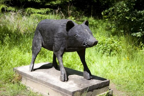 Bowland Wild Boar Park 040617 012 © Nick Dagger Photography
