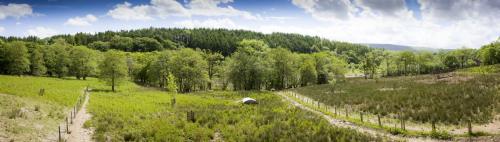 Bowland Wild Boar Park 040617 013 © Nick Dagger Photography