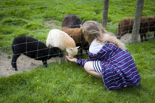 Bowland Wild Boar Park 040617 022 © Nick Dagger Photography