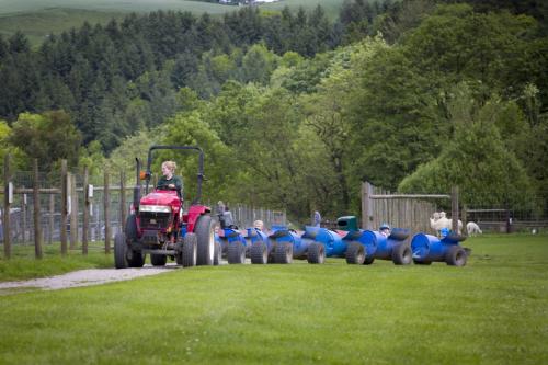 Bowland Wild Boar Park 040617 030 © Nick Dagger Photography