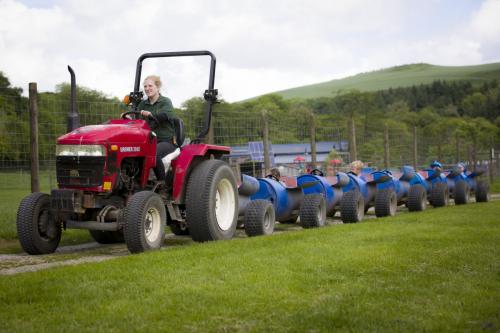 Bowland Wild Boar Park 040617 033 © Nick Dagger Photography