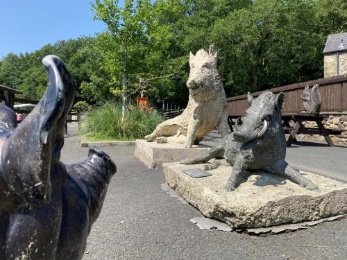 Bowland Wild Boar Park June 2020