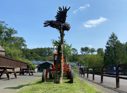 Bowland Wild Boar Park June 2020