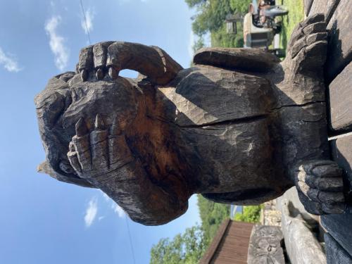 Bowland Wild Boar Park June 2020