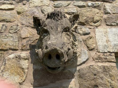 Bowland Wild Boar Park June 2020