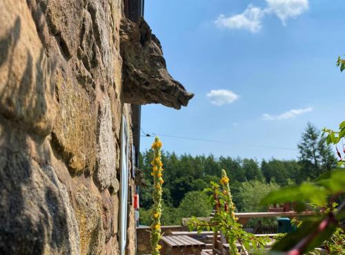 Bowland Wild Boar Park June 2020