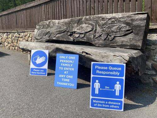 Bowland Wild Boar Park June 2020