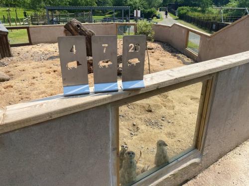 Bowland Wild Boar Park June 2020