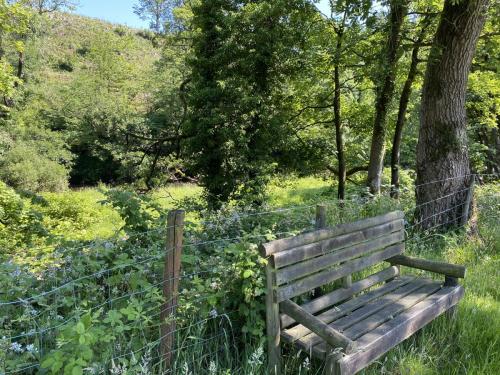 Bowland Wild Boar Park June 2020