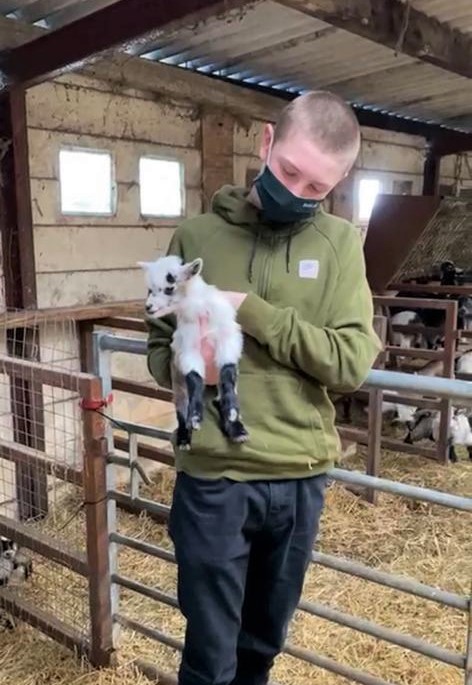 c9096186-35fe-4338-b632-b37ee8fa6880