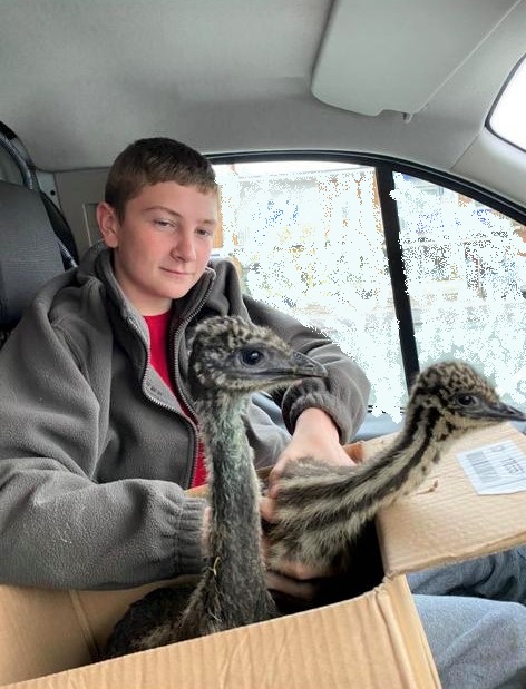 dbca26af-eeb4-428f-b39c-13fd9bf11275